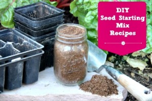 DIY Seed Starting Mix Recipe