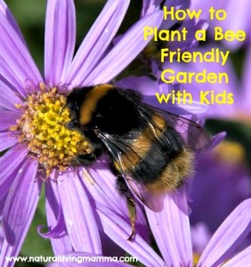 How to Plant a Bee Friendly Garden with Your Kids