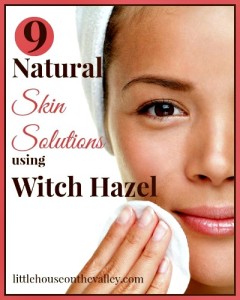 9 Natural Ways to Use Witch Hazel to Treat Skin Problems