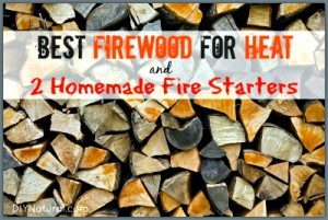 The Best Firewood to Use for Fires & Two Homemade Fire Starters