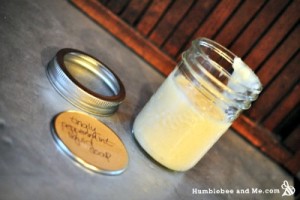 How to Make Liquid Peppermint Hand Soap