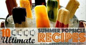 10 Ultimate Summer Popsicle Recipes!