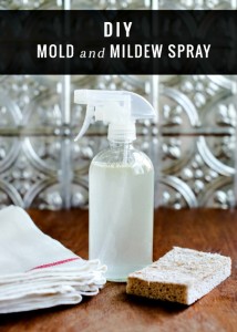 DIY Mold & Mildew Spray