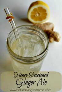 Homemade Honey Sweetened Ginger Ale Recipe