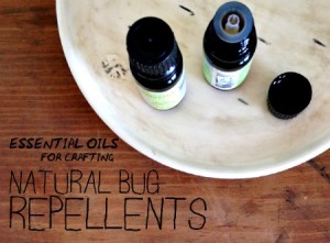 How to Make a Natural Bug Repellent Using Essential Oils