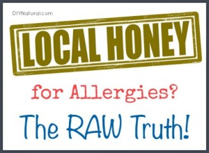 Does Local Raw Honey Really Help With Allergies