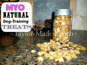 How to Make Your Own Healthy Dog Training Treats