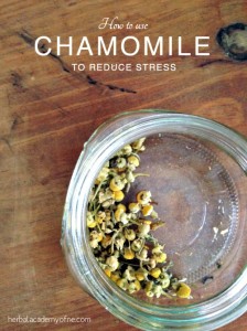 How to Use Chamomile to Reduce Stress