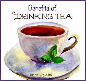 The Benefits of Drinking Tea