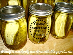 How to Can Kosher Style Dill Pickles ~ A Tutorial