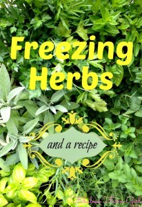 How to Freeze Herbs (+ a Recipe)