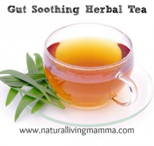 How to Make a Gut Soothing Herbal Tea Blend