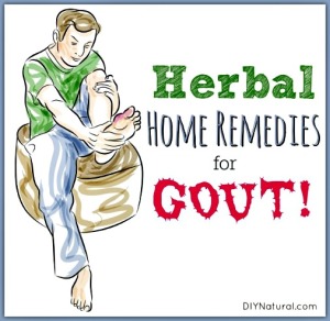 5 Herbal Therapies to Help You Recover from Gout