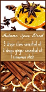 How to Make An Autumn Spice Aromatherapy Blend