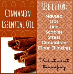 Essential Oil Spotlight - Cinnamon Essential Oil