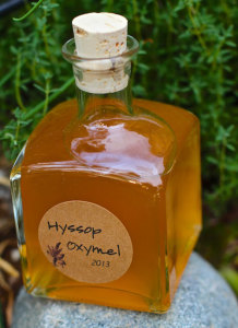 How to Make Hyssop Oxymel to Fight Colds, Flu and Bronchitis