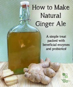 How to Make an All-Natural Ginger Ale
