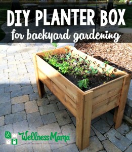 DIY Planter Box for Backyard Gardening