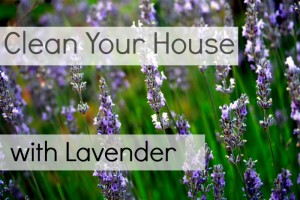 clean your house with lavender