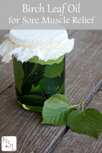 Birch Leaf Oil