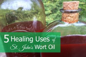 Healing Uses for St John's Wort